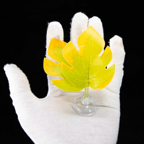 Suction Cup Pad Resting Bed for Bettas Fish Hammock Fishtanks Spawning Ground Aquariums Breeding Supply Fishtanks Ornament