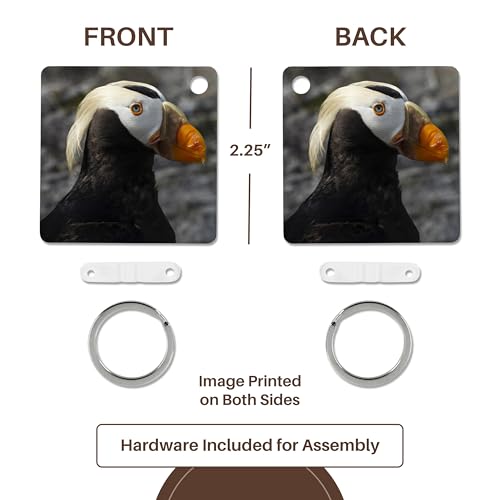 3dRose, Tufted Puffin bird, Aquarium, Newport, Oregon, USA - US38 RBR0514 - Rick A Brown, Key Chain - size: set of 4 Key Chains