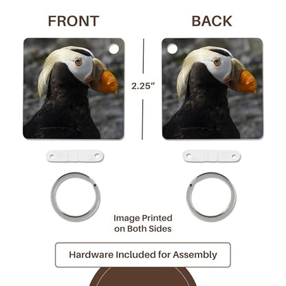 3dRose, Tufted Puffin bird, Aquarium, Newport, Oregon, USA - US38 RBR0514 - Rick A Brown, Key Chain - size: set of 4 Key Chains