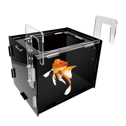 Fish Breeding Box Hatchery Sturdy Clear Acrylic Separation Incubator Isolation Box for Clownfish Betta Baby Fish Guppy, 20x15x15cm - size: 20x15x15cm