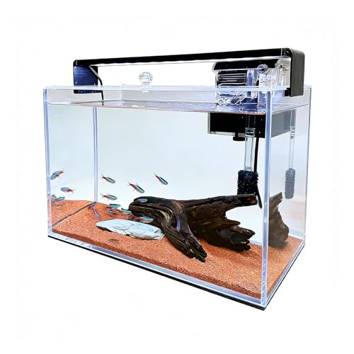 3.2 Gallon Fish Tank, Nano Nature Aquarium,Small Aquarium Starter Kit,Ultra-Clear Rimless Desktop Small Aquarium with Filter,Light,Rainforest Sand,Rock for Betta,Shrimp,Goldfish,Clear Glass