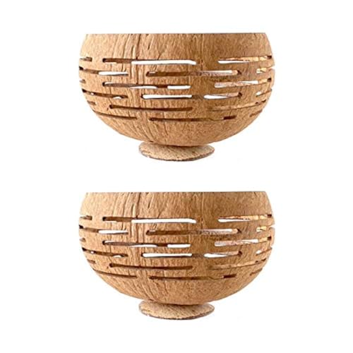 Set of 2 Horizons Coconut Planters w/Drainage Hole- Perfect for Succulents, Flowers, Small Plants, Indoor & Outdoor Gardens- Handcarved by Artisans, Eco-Friendly & Sustainable