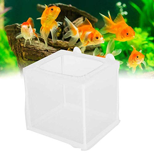 Fish Breeder Box Aquarium Incubator Transparent Plastic Isolation Tank for Newborn Fry Protection 15.7x14x14.9cm with 4 Suction Cups Mesh Net and Stand Columns