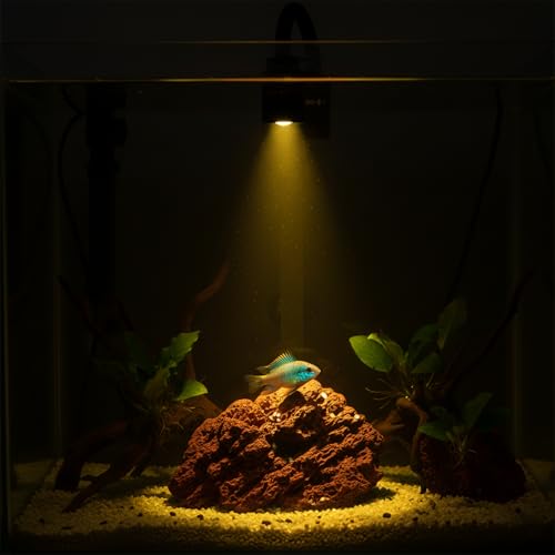 Zoom Mini Aquarium Spotlight with Timer – Gooseneck Clip-On Lamp, 15°–90° Zoom Beam, Tri-Color White/Warm White/Warm Light, Full Brightness Dimming (Black - NO Timer) - color: Black - NO Timer