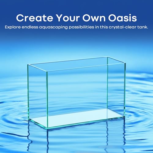 6 Gallon Glass Fish Tank 5 Gallon Open-Back Lid, Small Aquarium Fish Bowl Cube for Betta Goldfish Snails Shrimp Aquatic Planting, Ultra Clear Rimless Design Low Iron - color: Transparency, size: 6 Gallon