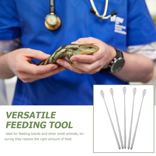 Toyvian 5pcs Durable Pet Food Scoops Ergonomic Reptile Feeding Utensils for Lizards and Small Animals Lightweight and Portable for Home and Aquarium Use
