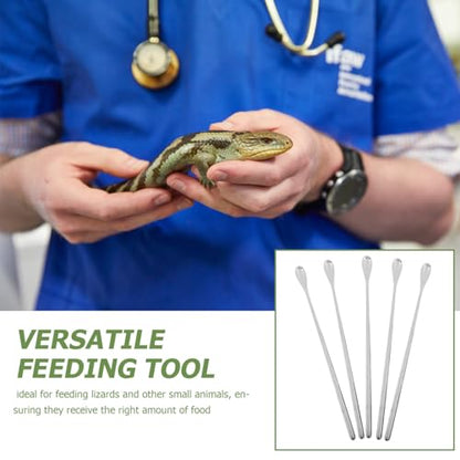 Toyvian 5pcs Durable Pet Food Scoops Ergonomic Reptile Feeding Utensils for Lizards and Small Animals Lightweight and Portable for Home and Aquarium Use