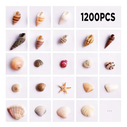 1200 PCS Tiny Sea Shells &10 Small Starfish - Mixed Ocean Beach Spiral Seashells for Fish Tank and Vase Filler, Beach Theme Party, Wedding Decor - DIY Craft Supplies