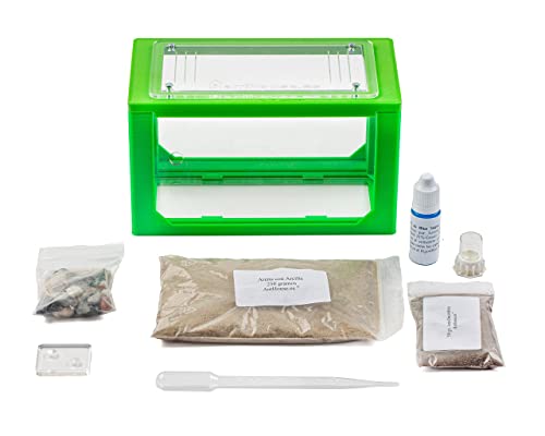 Anthouse.ES - 3D Aquarium-Style Natural Ant Farm - Sand Ant Farm - Complete Kit with Sand and Accessories - Starter Model 20x10x10 cm - Grey Color