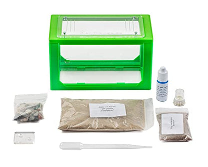 Anthouse.ES - 3D Aquarium-Style Natural Ant Farm - Sand Ant Farm - Complete Kit with Sand and Accessories - Starter Model 20x10x10 cm - Grey Color