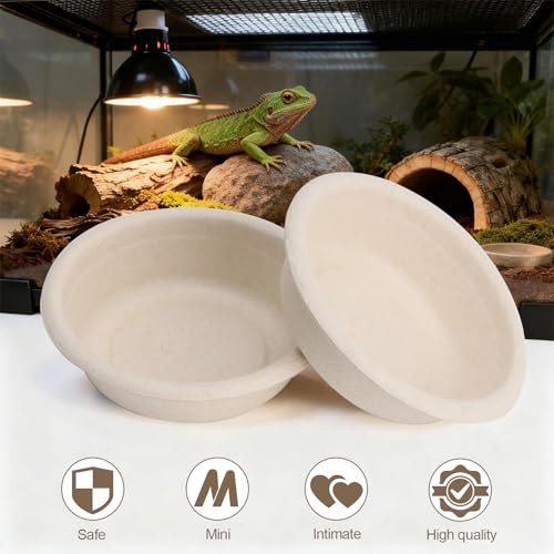 100 Pcs Large Gecko Food Cups - 1oz Disposable Biodegradable Plant Fiber Feeding Bowls, Terrarium Accessories for Crested Gecko, Lizards & Reptile Pets