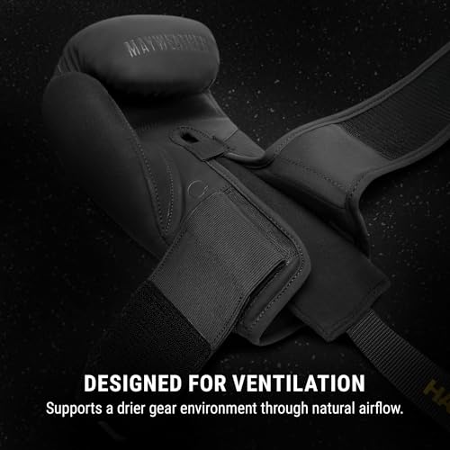 Hayabusa Mayweather Glove Deodorizer - Black/Gold, ONE
