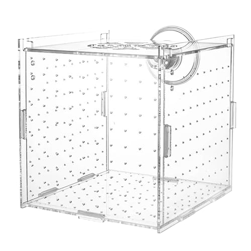Breeder Box for Fish Tank – 10x10x10cm Acrylic, Clear Nursery Hatchery, Breeding Container | Perfect Aquarium Fry Raising, Betta Isolation Space, Guppy Support, Angelfish Egg Care, Shrimp Habitat