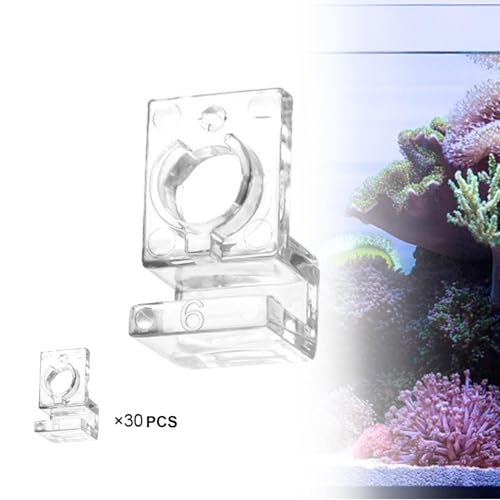 30Pcs Aquarium Lid Clips Water Pipe Fixing Clamps Clamps Aquarium Lid Support Brackets, for 6mm