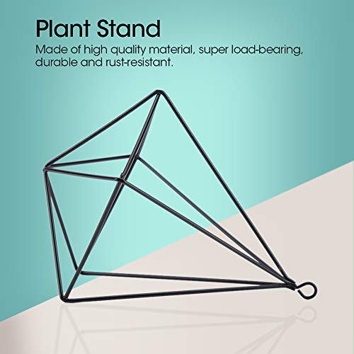 Air Plant Holder,Metal Geometric Hanging Airplants Plant Hanger, Freestanding Hanging Geometric Plant Stand, Flower Hanger Moss Fern Plant Pot Decor(Black)