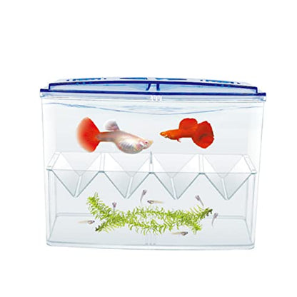 BESPORTBLE 1pc Self-Floating Fish Hatching Box Shaped Partition for Safe Fish Breeding Isolation Tank for Small Reproduction High Transparency and Air Circulation