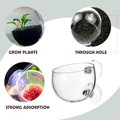 6 Pieces Aquarium Plant Holder Pot Aquarium Decor Crystal Glass Aquatic Plant Cup with Suction Cups Aquarium Fish Tank Decorations