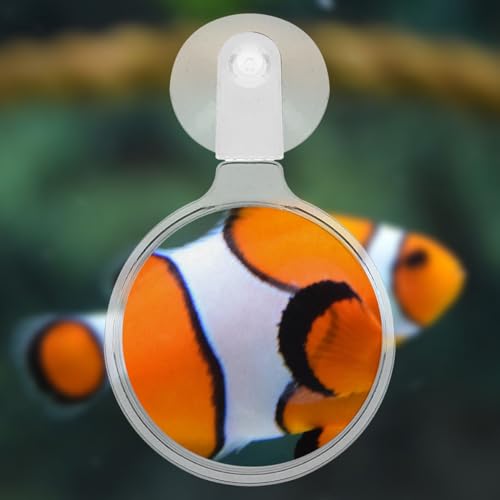 FOMIYES 4pcs Acrylic Fish Tank Glass with Cup for Observing Betta Fish Microlandscapes Plants and Spiders for Seniors and