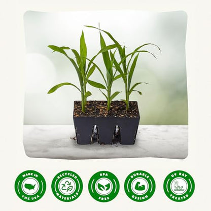 Reusable Seed Starter Tray - Easy Watering Seed Starting Trays - Gardener Friendly Plant Trays for Seedlings | UV-Treated & BPA-Free -6-Cell Seed Starting Trays - 6 Trays/Black