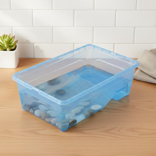 Compact PP Plastic Storage Container with Integrated Raised Platform - Small Indoor Organizer Box, Blue