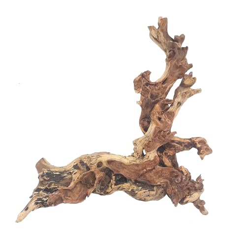 Aquarium Driftwood, Natural Large 7-15in Coral Driftwood for Aquarium Decor Reptile Tank Decor Terrarium Ornament Wood Branch Trunk Stump for Fish Betta Lizard - size: XL:Mopani Driftwood (7-15in 1PCS)