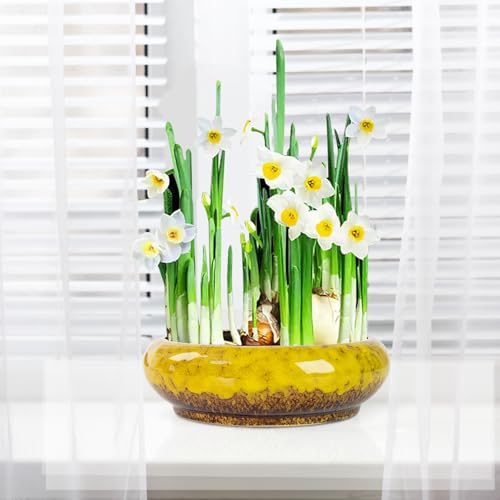 ARTKETTY Lotus Bowl Planter - 7.3 Inch Large Lotus Flower Bowl for Water Plants, Ceramic Hydroponic Planter Water Lily Bowl for Planting Aquatic and Indoor Succulent Plants and Bonsai - color: Yellow