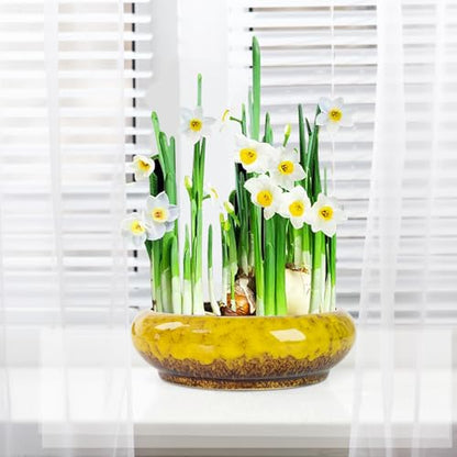 ARTKETTY Lotus Bowl Planter - 7.3 Inch Large Lotus Flower Bowl for Water Plants, Ceramic Hydroponic Planter Water Lily Bowl for Planting Aquatic and Indoor Succulent Plants and Bonsai - color: Yellow