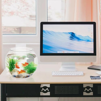VOSAREA Mini Plastic Fish Bowl 3 Gallon Decorative Small Bubble Bowl, Unbreakable Aquarium Fish Tank for Party Centerpiece Decorations
