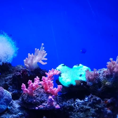BETOOKY Aquarium Background Sticker PVC Self-Adhesive Fish Tank Backdrop Roll 45cm X 10m Blue Underwater Scenery Decoration for DIY Aquarium Accessories