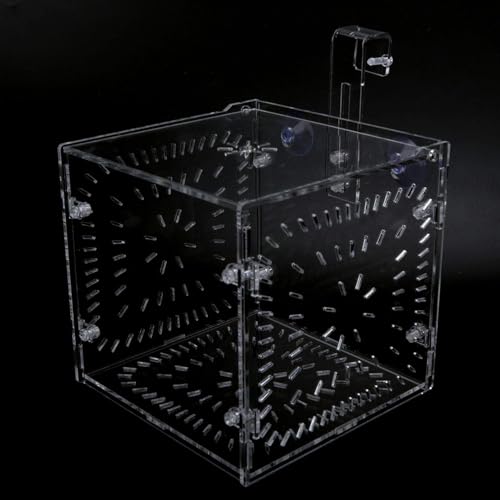 Fish Isolation Breeding Box Acrylic Incubator Floating Aquarium Hatchery Breeding and Parenting Box for Fish Aquarium(15CM*15CM*15CM)
