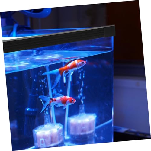 balacoo Edge Protector for Fish Tank Aquarium Safety Trim Strip s Easy Installation Wear-Resistant Material Prevents Fish Escape and Spills Keeps Living Space Tidy - size: 40.00X40.00X2.50CM