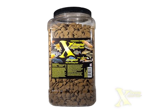 Xtreme Scrapers Wafers - Premium 14mm Fast-Sinking Fish Food – Nutrient & Cellulose Rich Ideal for Nocturnal Feeders, Catfish, Plecostomus Species, and Loaches – USA Farm Grown (64oz) - size: 4 Pound (Pack of 1)