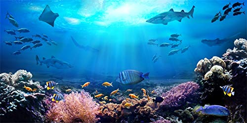 6x3ft Underwater World Backdrop for Photography Aquarium Seabed Rocks Lights Coral and Fishes Tropical Ocean Scene Under The Sea Background Kids Party Decoration Banner Photobooth Props - size: 6x3ft