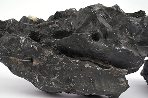 Dark SEIRYU Stones Natural Rocks (3~11 inches,11pcs) x2 40Lx 2 Cases Total 80L 37lbs for Aquarium, Paludarium, Terrariums, Landscaping Rocks, Decorative Aquarium Rocks - size: 09 Dark Seiryu Stones(3-11inch,36lbs)