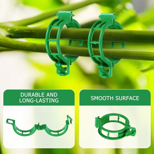 100PCS Green Plant Support Clips, Tomato Clips, Garden Clips, Trellis Clips, Vine Clips for Climbing Plants to Prevent Tomatoes from Pinching or Falling Off - color: Green 100pcs
