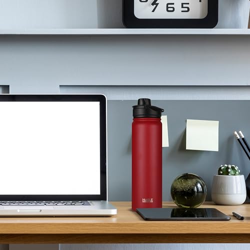 HASLE OUTFITTERS Insulated Water Bottle 22 oz Double Wall Stainless Steel Water Bottle Wide Mouth with Straw Lid & Spout Lid Keeps Cold or Hot(Red,4) - color: Red, size: 22oz- 4 Pack