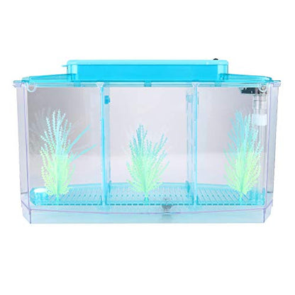 Small Fish Isolation Fish Tank, LED Acrylic Aquarium Fish Tank, Transparent Fish Isolation Box with 2 Isolation Plates for Small Fishes Betta Shrimp Guppy (Blue)