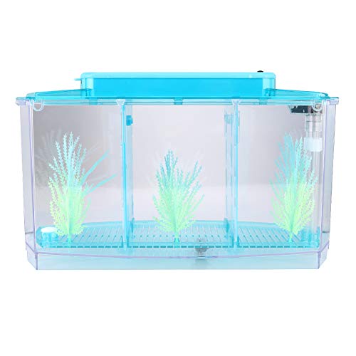 Aquarium Fish , Three Divisions Breeding Isolation Mini Aquarium komplettset LED Acrylic Box for Small Fishes() (Blue)