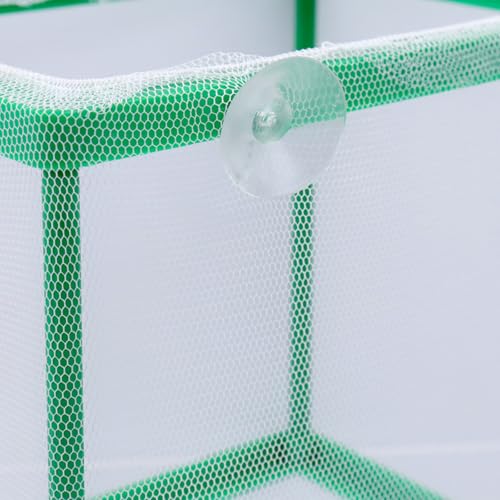 2PCS 6.69" x 5.04" x 6.38" Fish Tank Breeder Green Nylon Fish Incubator Mesh Box Aquarium Fish Fry Hatchery Breeder with Suction Cups - style: 6.69" x 5.04" x 6.38"; Green; without Divider