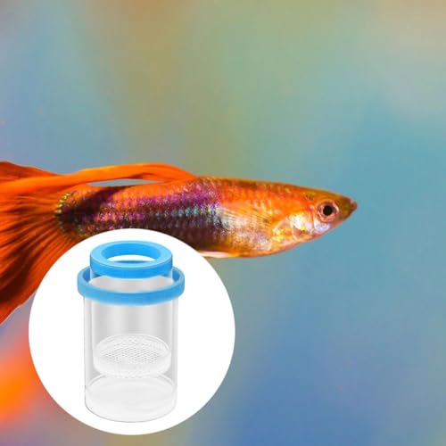 Floating Fish Isolation Box Round Aquarium Hatchery Accessory for Guppy Fish Blue