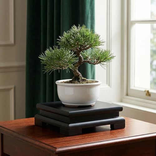 POPETPOP Chinese Plant Stand Oriental Furniture Wooden Display Base Square Pedestal Vase Base Table Lamp Teapot Base for Buddha Statue Aquarium Fishbowl Plant Stool
