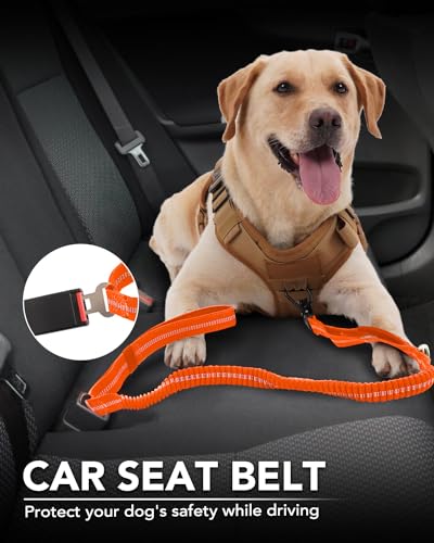 Joytale Tactical Bungee Dog Leash, Shock Absorbing No Pull, Orange - color: Orange