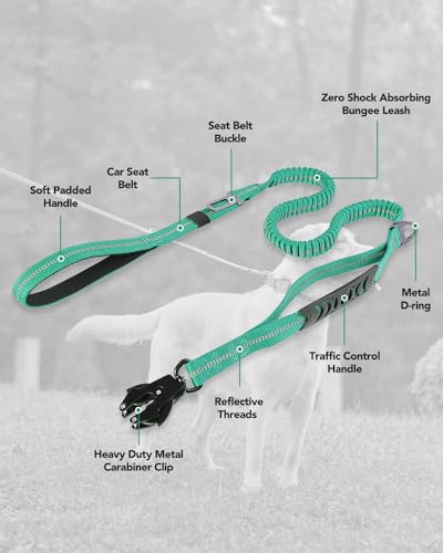 Joytale Tactical Bungee Dog Leash, Shock Absorbing No Pull, Teal - color: Teal