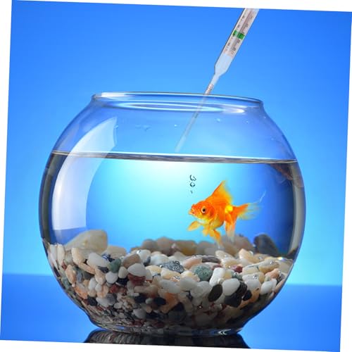 STOBAZA 1set Salimeter Test Tool Measuring Cylinder Aquarium Hydrometer for Accurate Salt Density Measurement Fish Tanks and Aquaculture
