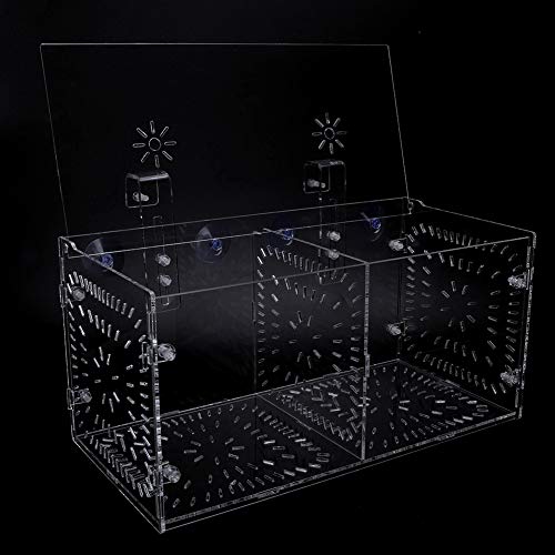 Fydun Fish Isolation Breeding, Box Acrylic Incubator Ing Seedlings Incubation Reproduction Aquarium Ery and Parenting for Aquarium (30CM*15CM*15CM) - size: 30CM*15CM*15CM, style: 30CM*15CM*15CM