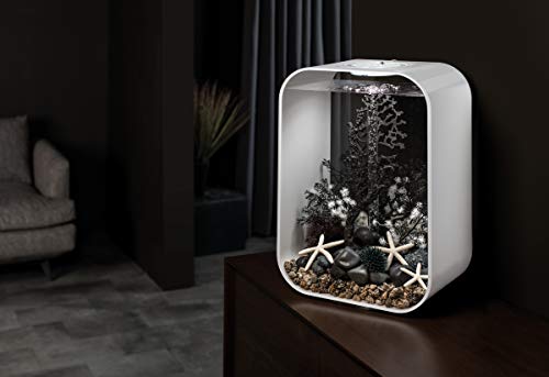 BiOrb 46097.0 Sea Fan Medium Black Aquariums