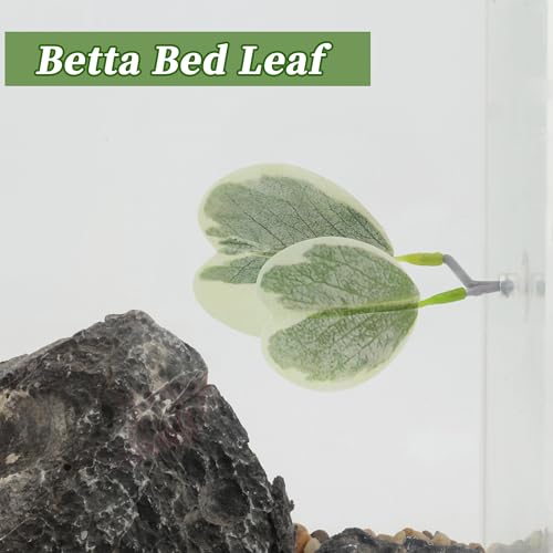 Betta Fish Bed, Betta Leaf Bed, Plastic Betta Hammock, Betta Hammock Pad W/Suction Cup, Betta Heart-Shaped Leaf Bed Aquarium Decor, Light Green 2Pcs