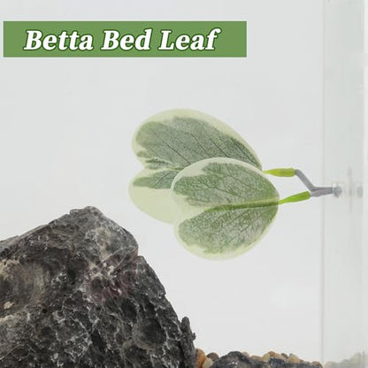 Betta Fish Bed, Betta Leaf Bed, Plastic Betta Hammock, Betta Hammock Pad W/Suction Cup, Betta Heart-Shaped Leaf Bed Aquarium Decor, Light Green 2Pcs