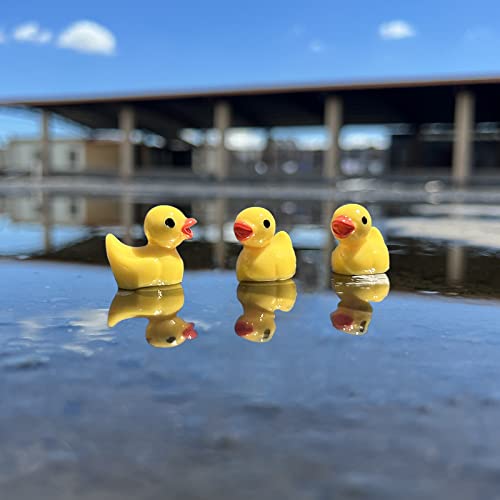 220 Pieces Mini Resin Duck Miniature Figures Micro Fairy Garden Landscape Aquarium Hide and Seek Prank Dollhouse Ornament Potted Plants Cake Decoration DIY Slime Craft Charms for Party Toys