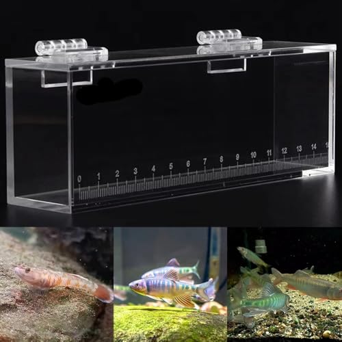 Fish Viewing Box Acrylic Outdoor Indoor Micro Landscape Fish Tanks Fishing Photo Tank Fish Breeding Tanks Photo Box with Scale(M) - size: M